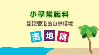 小學常識科教育短片—認識香港的自然環境(濕地篇)