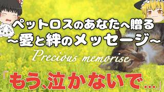 【ペットロス】天国のペットがあなたを心配してる。「泣かないで…。」