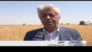 Iran Mechanized Wheat harvest in winter, Pishin region, Sarbaz county برداشت مكانيزه گندم ايران