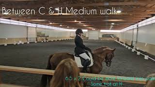 2023 USEF Training Level Test 1, Koa VSH, judge's scores and comments 71.0% Oct 12, 2024