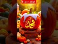 i love allah #islamicvideo #allahuakbar #shorts