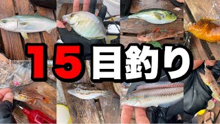 【手漕ぎボート釣り】色々釣れる森戸海岸＠葉山釣具センター