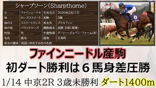 【競馬情報】ファインニードル産駒がダート戦初勝利！母系の血統次第でダートもこなせると判明した。