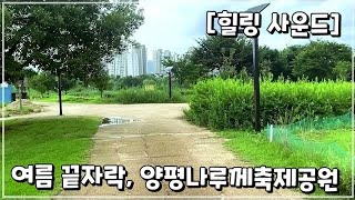 [🎧릴렉스 사운드] 양평 나루께축제공원 / 여름 끝자락 산책하기