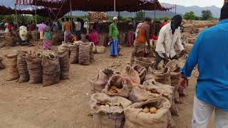 Ooty Potatoes🥔 ஊட்டி உருளைக்கிழங்கு.