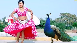 लहंगा में चाले 5g को नेट(सर्दी का No 1 गाना) New Rajasthani सुपरहिट Song ~Rajasthani Dj Song 2025