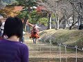 津和野「鷲宮八幡宮」秋の流鏑馬by紅葉台木曽馬 その４