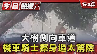 大樹倒向車道 機車騎士擦身過太驚險｜TVBS新聞 @TVBSNEWS01