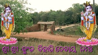 Asarala kunjbana temple turist spot in asarala odisha