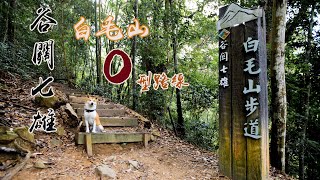 谷關七雄老六之白毛山步道O型路線