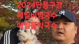 복부인 2024경주 단풍구경 메밀비빔국수 메밀물막국수 먹방 mukbang