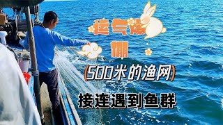 去收外海的第二个渔网，没想到500米的网遇到了鱼群，接连的上鱼