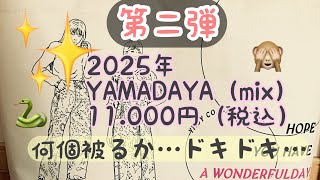 2025年🐍第二弾🐰YAMADAYAさんmix福袋開封動画　11.000円（税込）