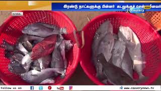 நாகை: இரண்டு நாட்களுக்கு பிறகு  கடலுக்கு சென்ற மீனவர்கள் | Fishermen