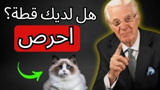 يكشف بوب بروكتور عن رؤى مذهلة حول قانون الجذب لأصحاب القطط