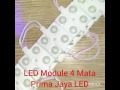 LED Module 4 Mata - Prima Jaya LED