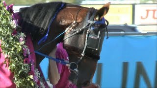 Elitloppet14 Part 4 - The Final