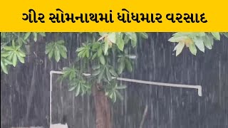 Gir Somnath માં ભારે પવન સાથે ધોધમાર વરસાદ | MantavyaNews