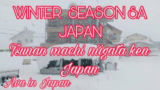 WINTER SEASON SA JAPAN TSUNAN MACHI NIIGATA KEN JAPAN #AvaInJapan #津南町