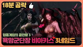 [로스트아크 시즌2] 군단장 레이드 '비아키스 3네임드'(노말/하드) 핵심패턴 최신공략!