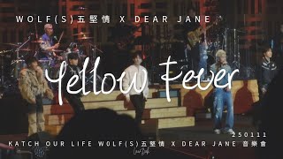 Yellow Fever | 250111 WOLF(S)五堅情 X Dear Jane | KATCH OUR LIFE W0LF(S)五堅情 x Dear Jane 音樂會