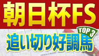 【朝日杯FS2024】最終追い切りが高評価だった「トップ3」はこの馬だ🐴 ～JRA朝日杯フューチュリティステークス競馬予想～ 全頭診断と共同記者会見インタビュー