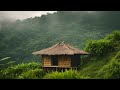 RAIN SOUND FOR SLEEP, RELAXING AND CALMING