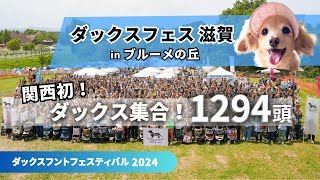 【関西ダックス1,294頭】が関東ダックスフェスを上回った！関西滋賀でダックスフントフェス初開催 inブルーメの丘  2024年5月36日