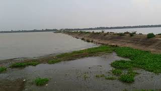 Rajshahi Tanore Bil | রাজশাহী তানোর বিল