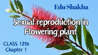 part IV  sexual reproduction in flowering plant