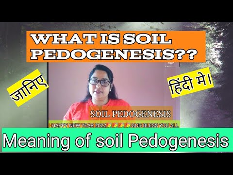 SOIL PEDOGENESIS || WHAT IS SOIL PEDOGENESIS?|| EASY EXPLANATION IN ...