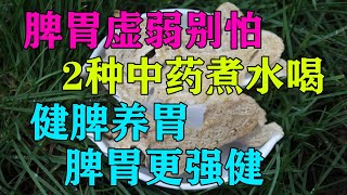 脾胃虛弱別怕，2種中藥煮水喝，健脾養胃，脾胃更強健【侃侃養生】