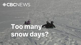 Too many snow days? P.E.I. school cancellations questioned