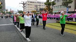 おはら祭り2017　コモンビート鹿児島踊り連💃鹿児島市役所前を出発✨