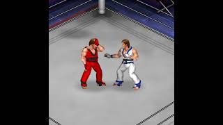 ForwardKickCollection 組み中キックコレクション FatalFury KimKaphwan Taekwondo FirePro 餓狼伝説 キム・カッファン テコンドー ファイプロ