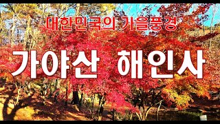 🌏대한민국의 가을풍경🍁52. 국립공원 가야산 해인사의 가을(2024.11.12.현재)🍁🍁