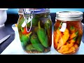 How to Pickle Chilli Peppers. Easy and Tasty!