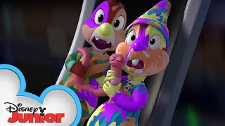 Tree's A Crowd | Chip 'N Dale's Nutty Tales | Disney Junior