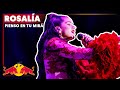 Rosalía – Pienso En Tu Mirá | LIVE | Red Bull Music