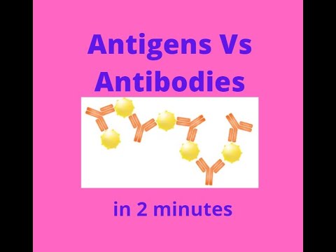 Where in a cell are antigens found?