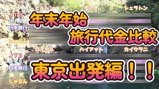 年末年始のハワイ旅行代金を調査＆比較【東京編】