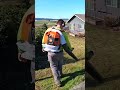 taking the trash out of her lawn satisfying lawncare lawnmowing