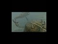 giant scorpions walking with monsters pterygotus ambushes brontoscorpio amazing insects