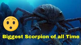 Giant Scorpions | Walking with Monsters  Pterygotus ambushes Brontoscorpio | Amazing Insects