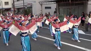 イキ・粋・なかみせ鳴⼦隊／本町審査会場／第20回よさこい東海道2016（本祭）