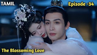 Blossoming Love || Episode -34 || story explain || Series Explainer 2