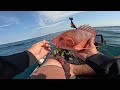 21 minutes of catching big fish from my kayak offshore and inshore navarre pensacola kayak fishing