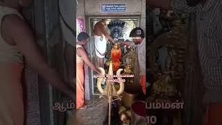 அருள்மாரி பொழிகின்ற கருமாரி நீ தந்த திருநீறு மருந்தாகுமே #இங்கு ஒருவருக்கு ஒரு துன்பம் பறந்து ஓடுமே