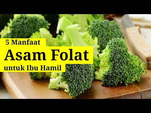 5 Manfaat & Fungsi Asam Folat Untuk Ibu Hamil - YouTube