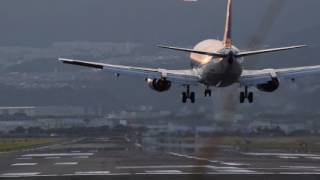 千里川土手 ANA Boeing 737-500 飛行機 着陸